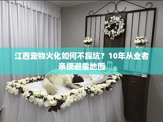江西宠物火化如何不踩坑？10年从业者亲授避雷地图