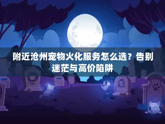 附近沧州宠物火化服务怎么选？告别迷茫与高价陷阱
