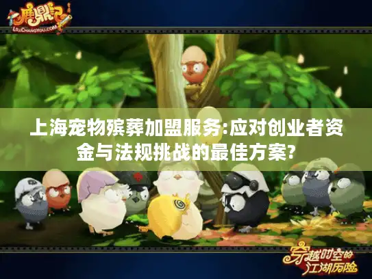 上海宠物殡葬加盟服务:应对创业者资金与法规挑战的最佳方案?