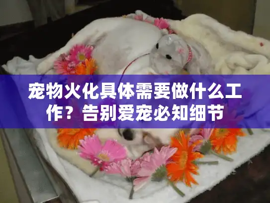 宠物火化具体需要做什么工作？告别爱宠必知细节