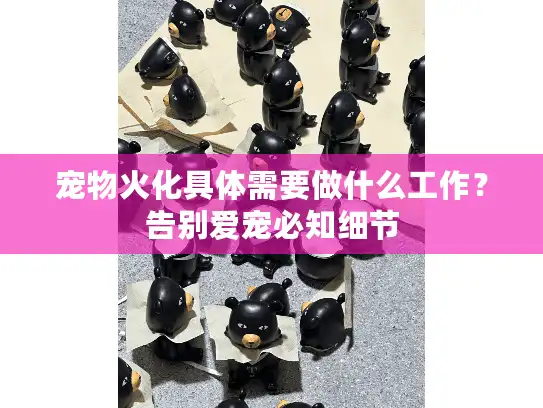 宠物火化具体需要做什么工作？告别爱宠必知细节