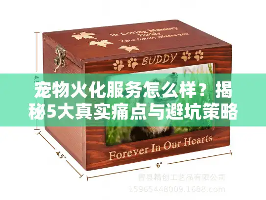 宠物火化服务怎么样？揭秘5大真实痛点与避坑策略