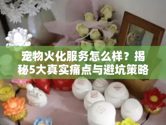 宠物火化服务怎么样？揭秘5大真实痛点与避坑策略