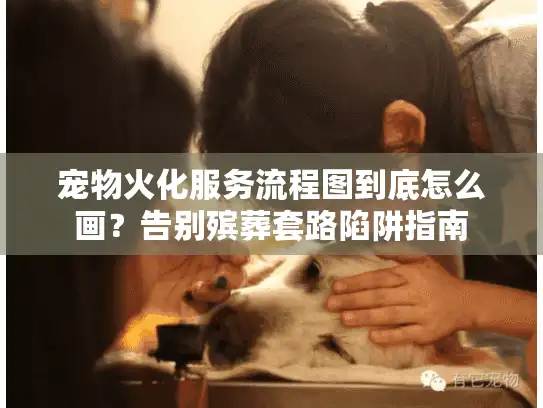 宠物火化服务流程图到底怎么画？告别殡葬套路陷阱指南