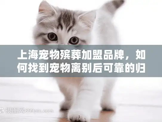 上海宠物殡葬加盟品牌，如何找到宠物离别后可靠的归宿服务？
