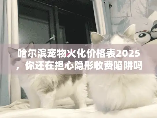 哈尔滨宠物火化价格表2025，你还在担心隐形收费陷阱吗？
