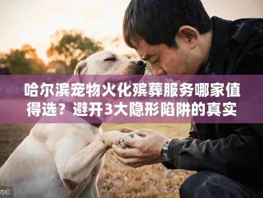 哈尔滨宠物火化殡葬服务哪家值得选？避开3大隐形陷阱的真实忠告