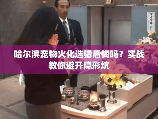 哈尔滨宠物火化选错后悔吗？实战教你避开隐形坑