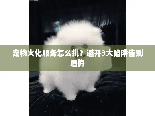 宠物火化服务怎么挑？避开3大陷阱告别后悔