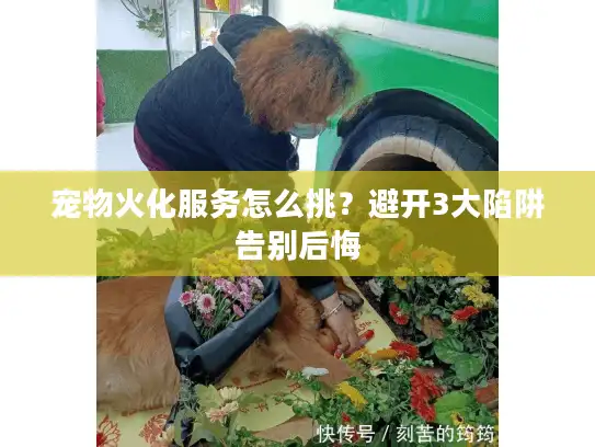 宠物火化服务怎么挑？避开3大陷阱告别后悔