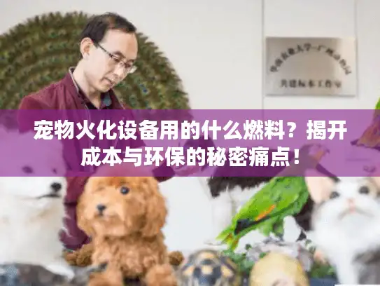 宠物火化设备用的什么燃料？揭开成本与环保的秘密痛点！