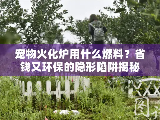 宠物火化炉用什么燃料？省钱又环保的隐形陷阱揭秘