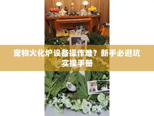 宠物火化炉设备操作难？新手必避坑实操手册