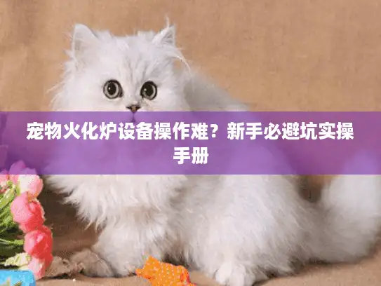 宠物火化炉设备操作难？新手必避坑实操手册