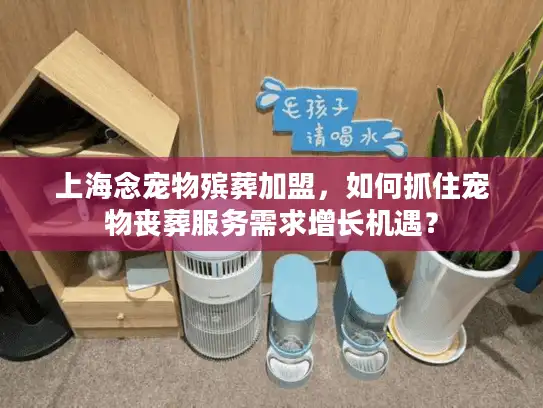 上海念宠物殡葬加盟，如何抓住宠物丧葬服务需求增长机遇？