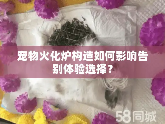 宠物火化炉构造如何影响告别体验选择？