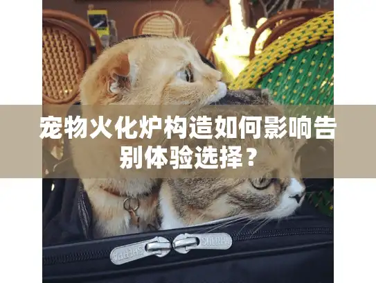 宠物火化炉构造如何影响告别体验选择？