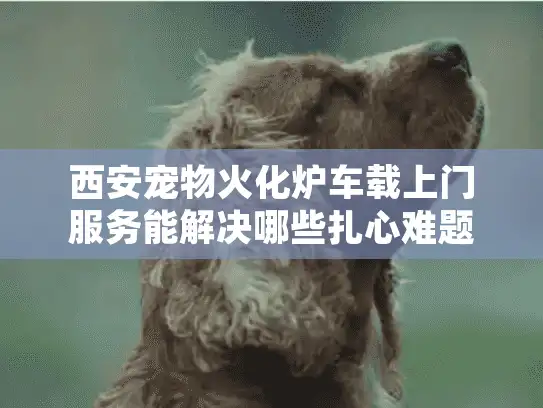 西安宠物火化炉车载上门服务能解决哪些扎心难题？