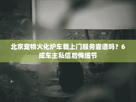 北京宠物火化炉车载上门服务靠谱吗？6成车主私信后悔细节