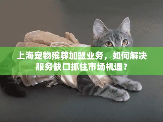 上海宠物殡葬加盟业务，如何解决服务缺口抓住市场机遇？