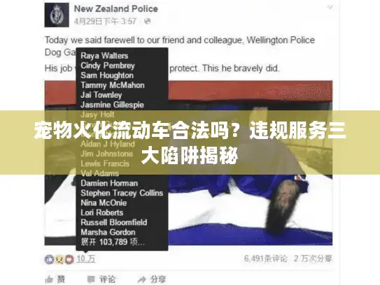 宠物火化流动车合法吗？违规服务三大陷阱揭秘