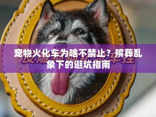 宠物火化车为啥不禁止？殡葬乱象下的避坑指南
