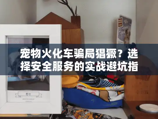 宠物火化车骗局猖獗？选择安全服务的实战避坑指南