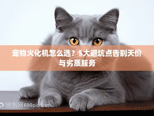 宠物火化机怎么选？5大避坑点告别天价与劣质服务