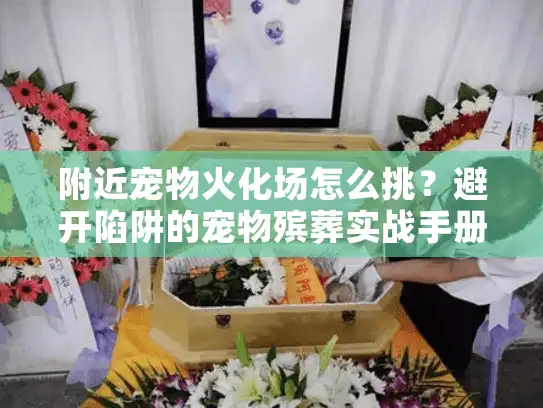 附近宠物火化场怎么挑？避开陷阱的宠物殡葬实战手册