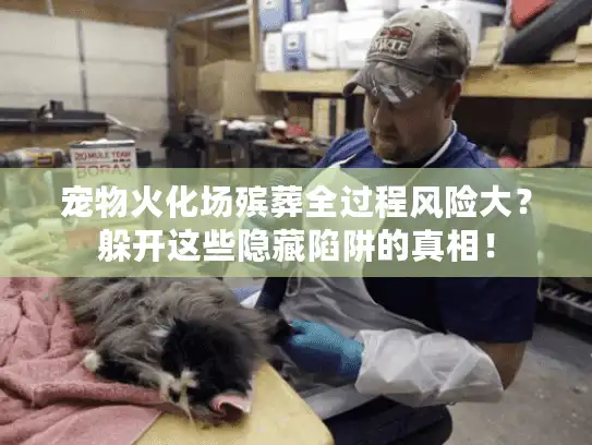 宠物火化场殡葬全过程风险大？躲开这些隐藏陷阱的真相！