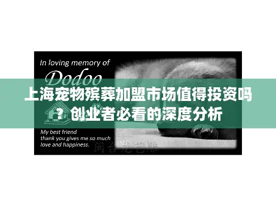 上海宠物殡葬加盟市场值得投资吗？创业者必看的深度分析