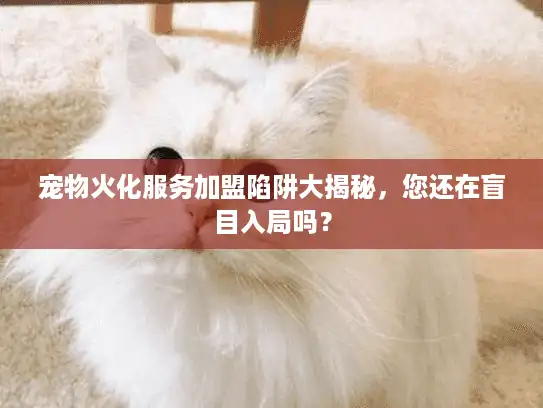 宠物火化服务加盟陷阱大揭秘，您还在盲目入局吗？