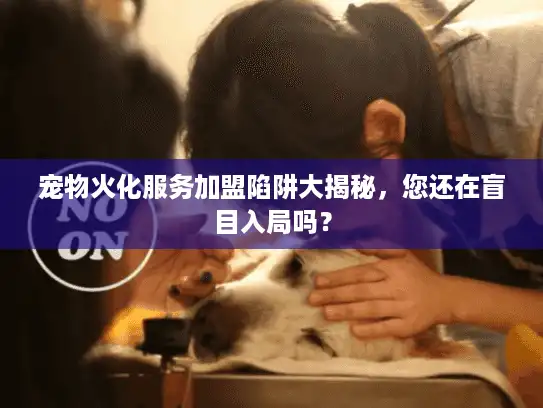 宠物火化服务加盟陷阱大揭秘，您还在盲目入局吗？