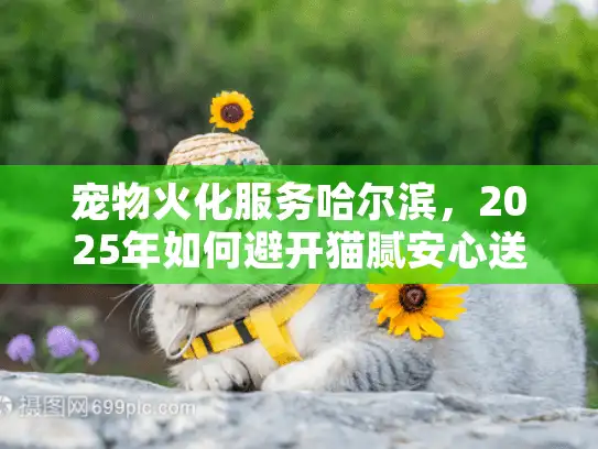 宠物火化服务哈尔滨，2025年如何避开猫腻安心送别爱宠？