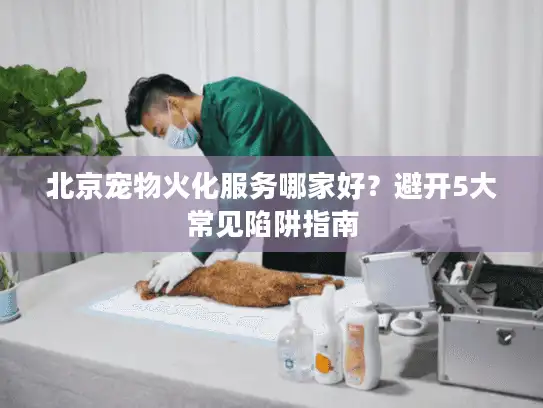 北京宠物火化服务哪家好？避开5大常见陷阱指南