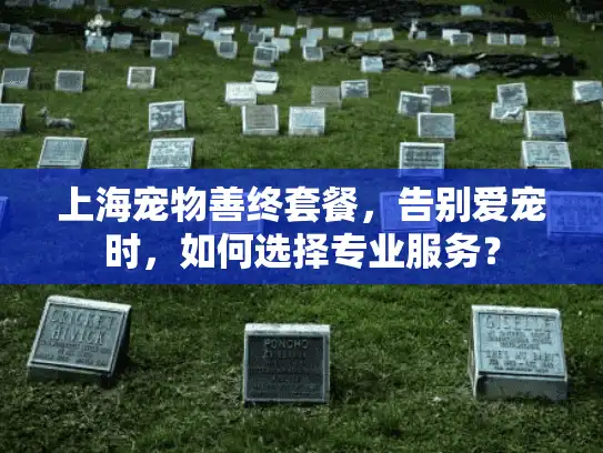 上海宠物善终套餐，告别爱宠时，如何选择专业服务？