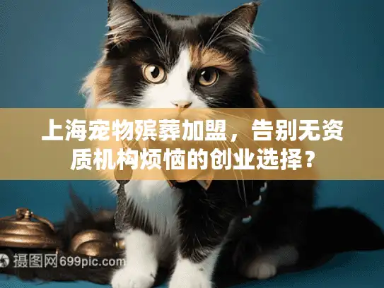 上海宠物殡葬加盟，告别无资质机构烦恼的创业选择？