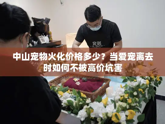 中山宠物火化价格多少？当爱宠离去时如何不被高价坑害