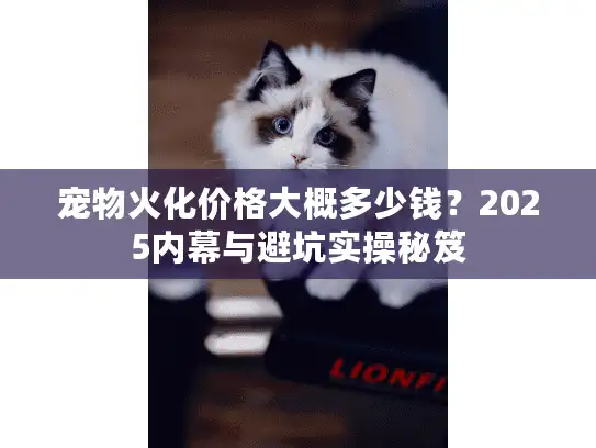 宠物火化价格大概多少钱？2025内幕与避坑实操秘笈