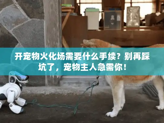 开宠物火化场需要什么手续？别再踩坑了，宠物主人急需你！