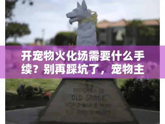 开宠物火化场需要什么手续？别再踩坑了，宠物主人急需你！
