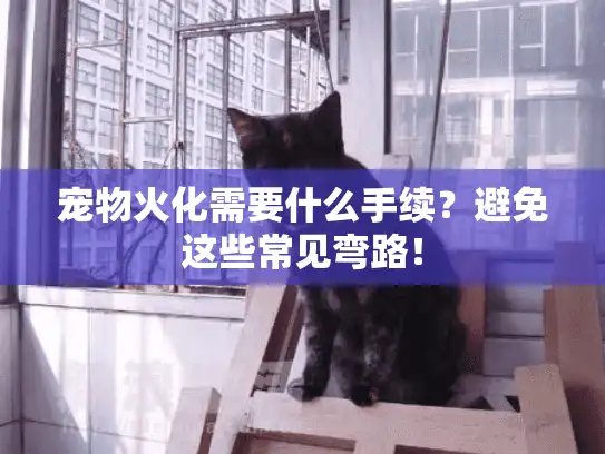 宠物火化需要什么手续？避免这些常见弯路！