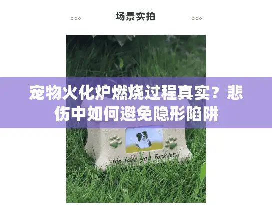 宠物火化炉燃烧过程真实？悲伤中如何避免隐形陷阱