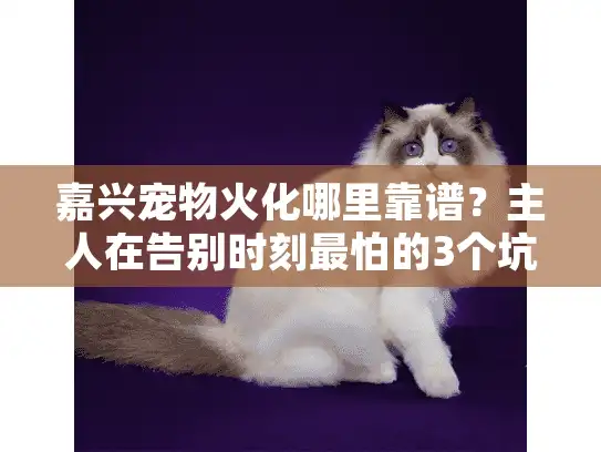 嘉兴宠物火化哪里靠谱？主人在告别时刻最怕的3个坑
