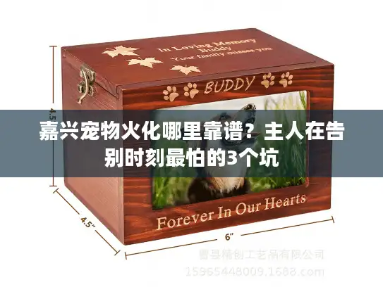 嘉兴宠物火化哪里靠谱？主人在告别时刻最怕的3个坑