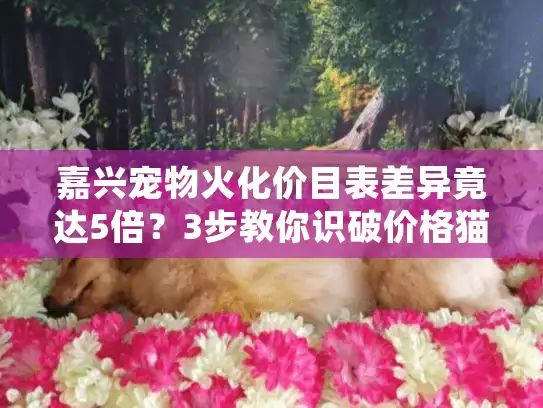 嘉兴宠物火化价目表差异竟达5倍？3步教你识破价格猫腻