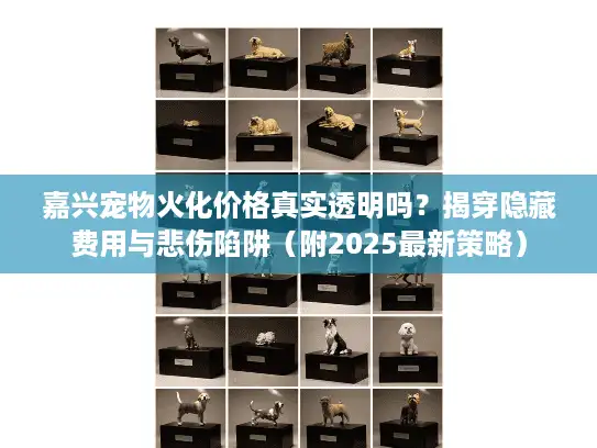 嘉兴宠物火化价格真实透明吗？揭穿隐藏费用与悲伤陷阱（附2025最新策略）