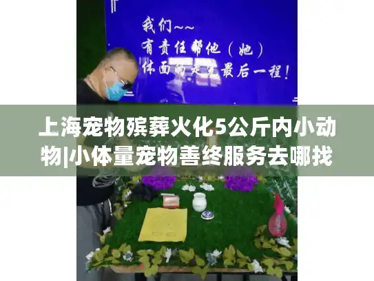 上海宠物殡葬火化5公斤内小动物|小体量宠物善终服务去哪找