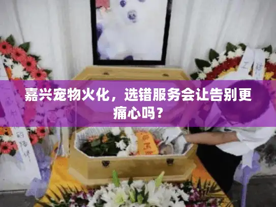 嘉兴宠物火化，选错服务会让告别更痛心吗？