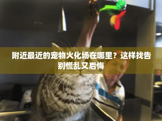 附近最近的宠物火化场在哪里？这样找告别慌乱又后悔